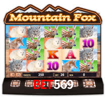 BET569,BET569 CASINO